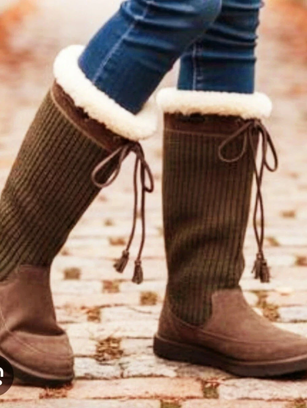 UGG suburb chestnut